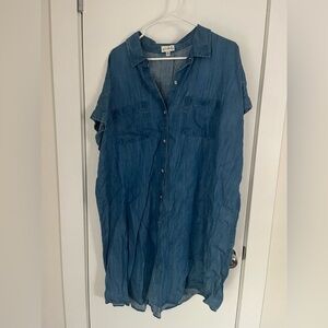 Wonderly Blue Denim Dress